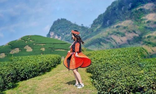 Mộc châu ảnh đẹp