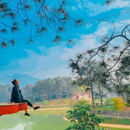 Rừng thông bản áng mộc châu