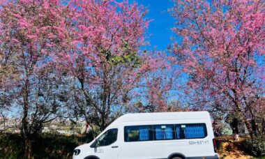 Thuê xe ford transti 18 chỗ