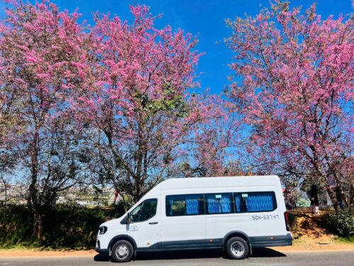 Giới thiệu về dịch vụ Thuê Xe 18 Chỗ Đi Quy Nhơn