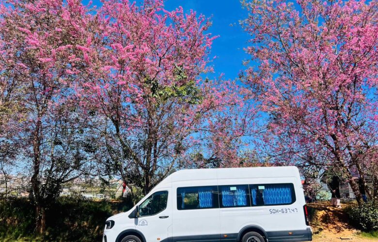 Thuê xe ford transti 18 chỗ