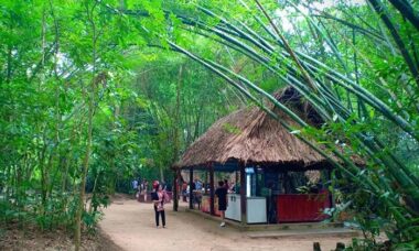 Du lịch địa đạo củ chi